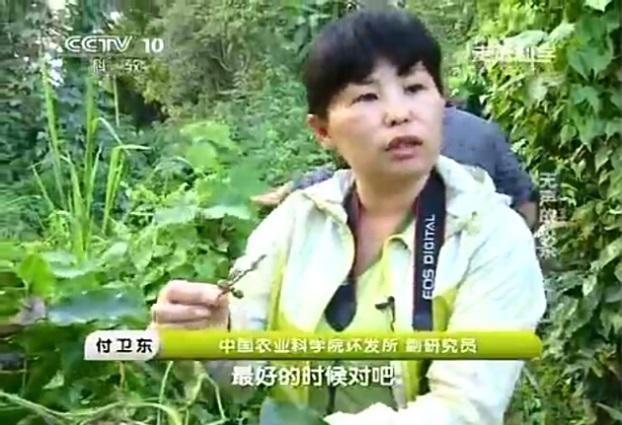 图片2.jpg