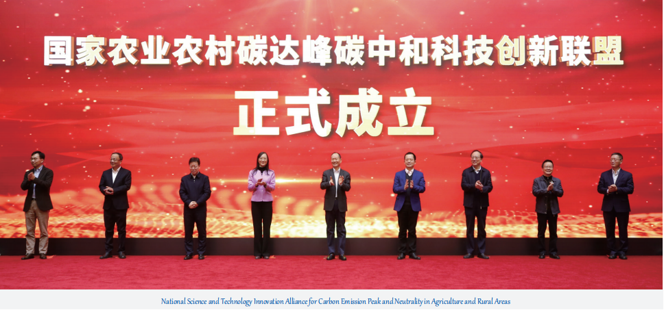 双碳中心.png